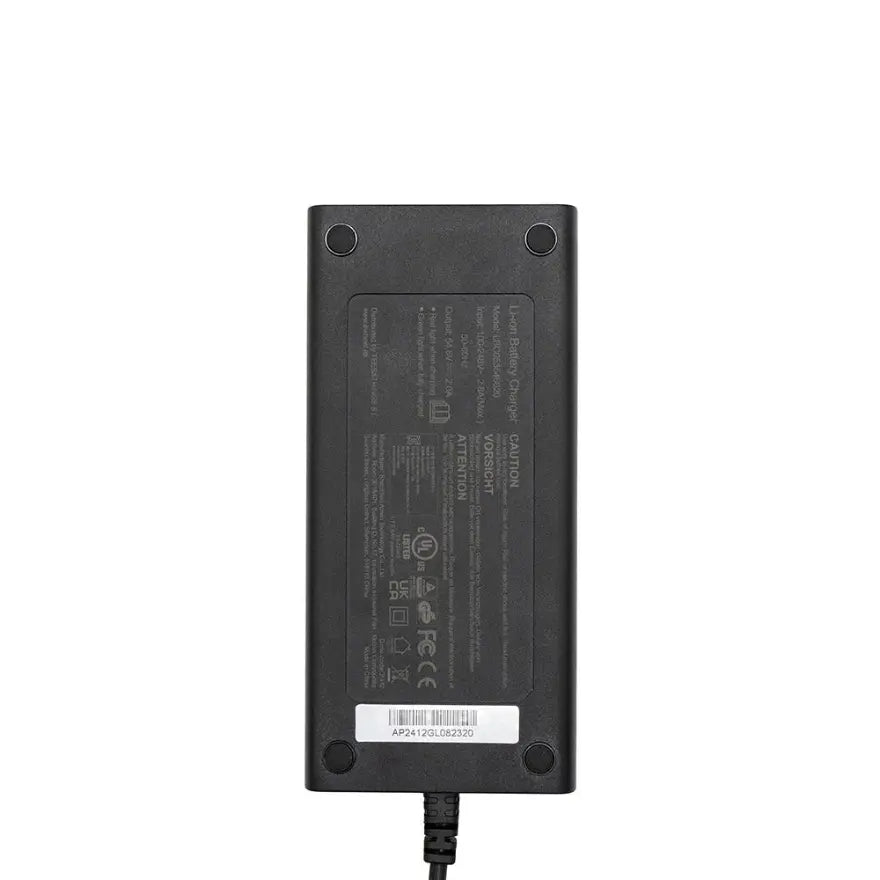 Cargador premium 48v (salida 54,6v) 2A conector Julet 3105 Cecotec Y65
