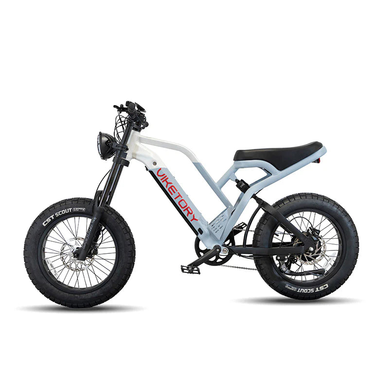 Bicicleta Eléctrica VIKETORY NAVY